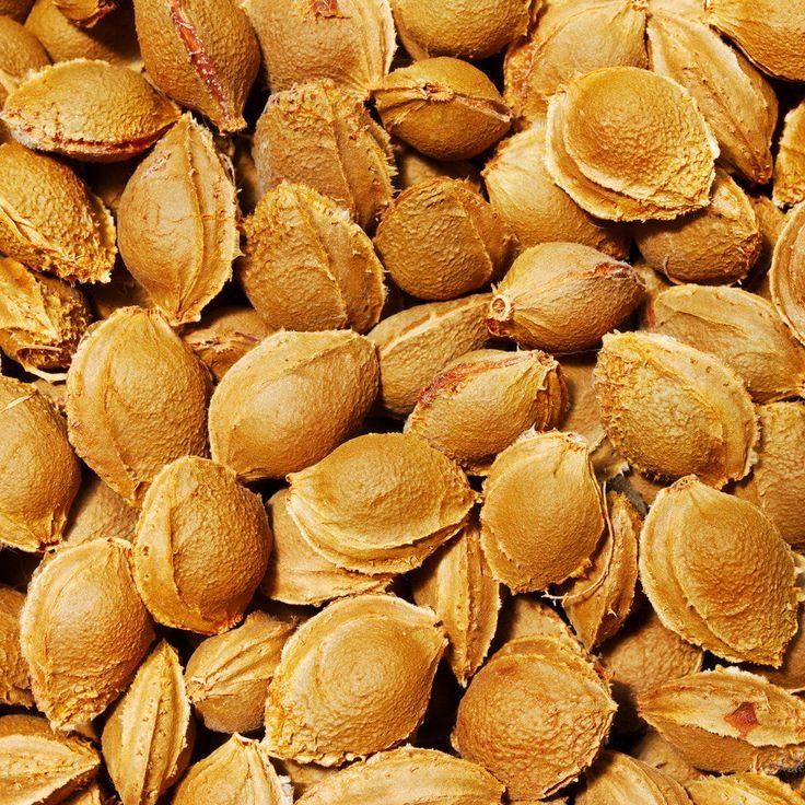 hírek
