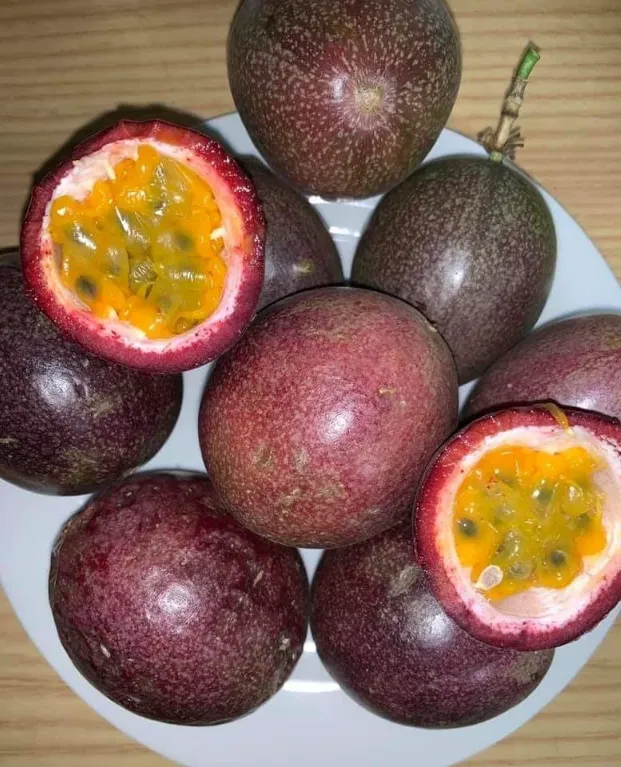 hírek