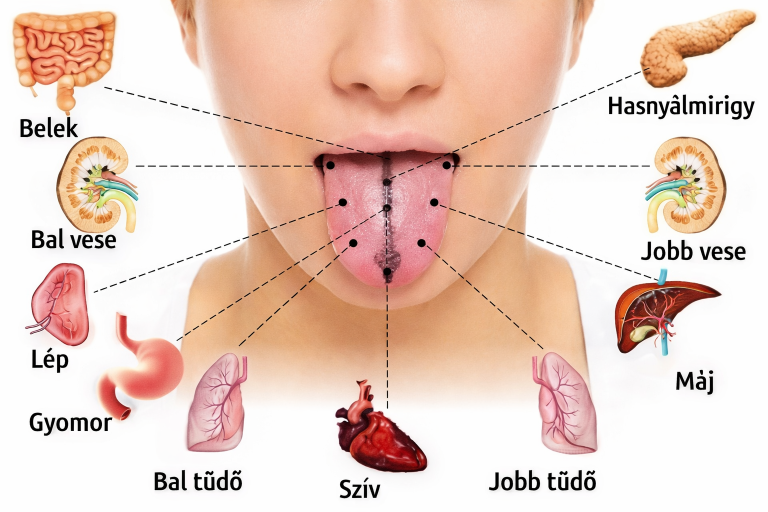Nyelved elárulja milyen betegség fenyegeti a szervezeted. Te egészséges vagy?