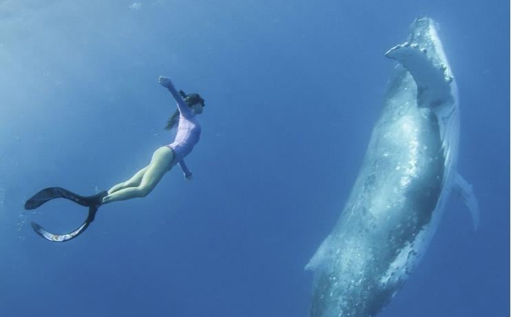 Elképesztő felvételen, ahogy egy félmeztelen nő próbál meglovagolni egy eltévedt delfint