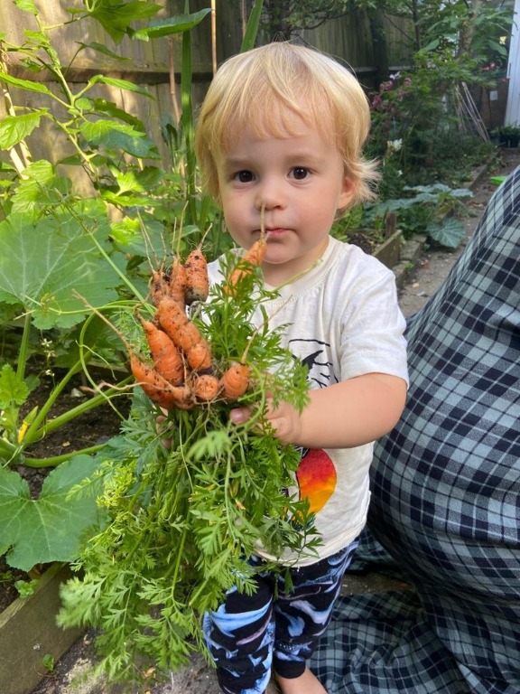 Tragédia a nagymama kertjében – Megették a gyümölcsöt a gyerekek. Két nap múlva belehaltak