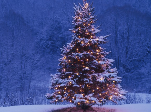 Lesz idén fehér karácsony? Megérkezett az előrejelzés!