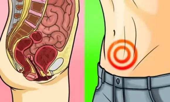 Így tudod kipucolni a méreganyagokat a vastagbelekből!