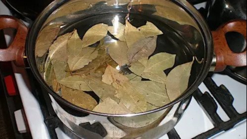 Nagyi tippjei babérlevéllel. A csodaszer