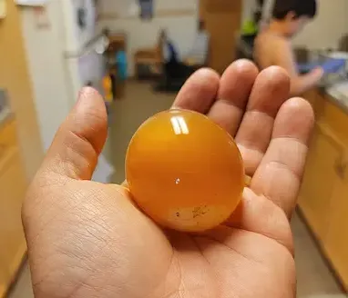 5 napig csak tojást ettem, semmi mást: sokkoló, mi lett a vége