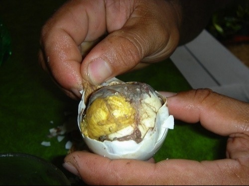 Ha ezt elolvasod, ezeket SOHA többé nem rakod a hűtőbe!