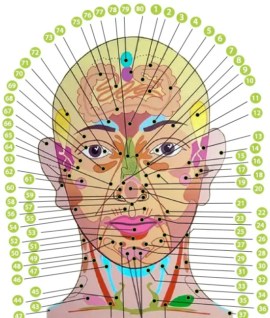 Az arcodon lévő pattanások figyelmeztetnek betegségeidre. Olvasd le a őket!